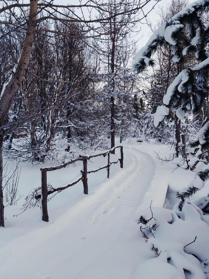 Bakkakot 2 - Cozy Cabins In The Woods Akureyri Bagian luar foto