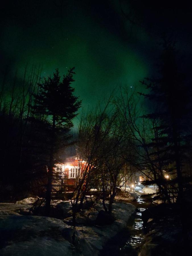 Bakkakot 2 - Cozy Cabins In The Woods Akureyri Bagian luar foto
